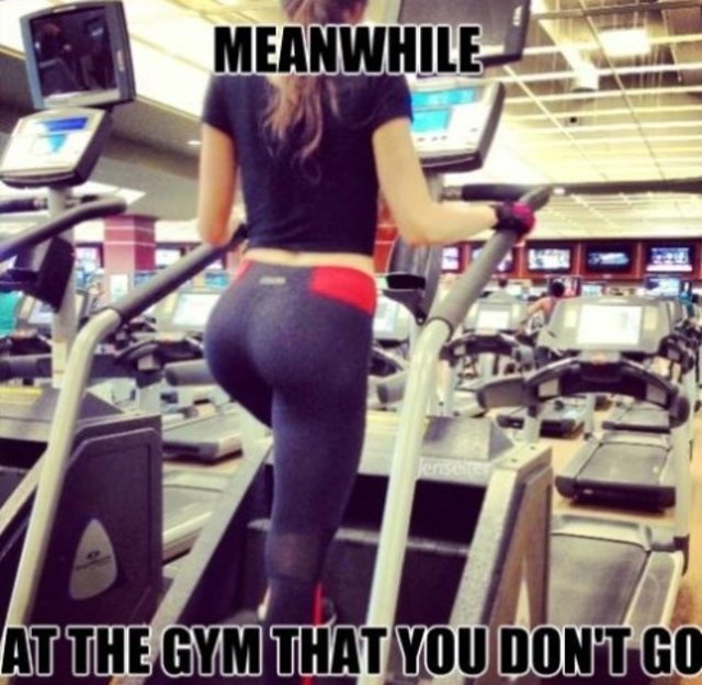 Fit Gym Girls - Pic #01
