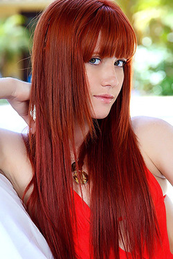 'Elle And Bree With Dani' with Elle Alexandra And Bree Daniels With Dani Daniels via welivetogether.com