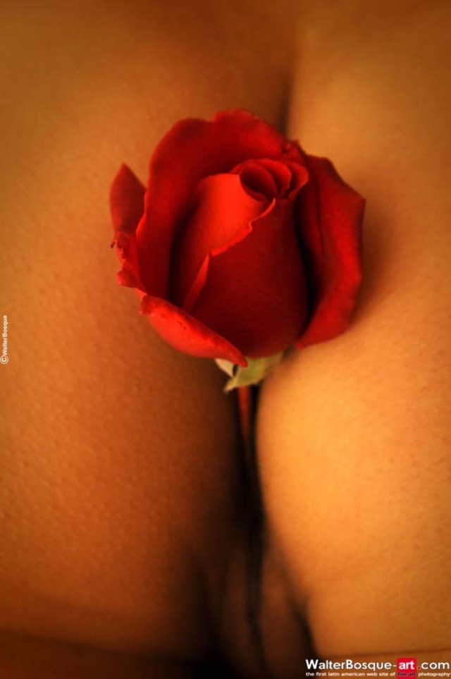 'Brunette Teens Nouva Flowers' with Nouva via Walterbosque-Art - Pic #9