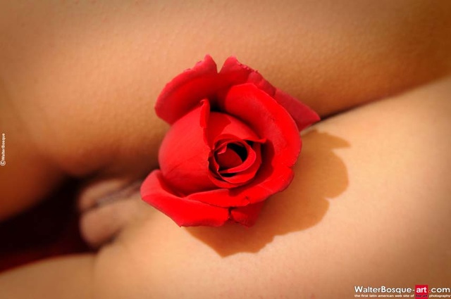 'Brunette Teens Nouva Flowers' with Nouva via Walterbosque-Art - Pic #11