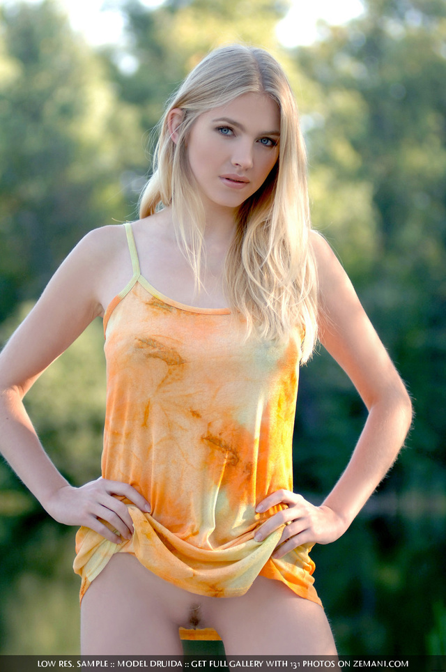 'Druida For Zemani' with Druida via Zemani - Pic #5